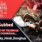 Renegade Immortal Movie: Battle Of The Gods hindi Subbed